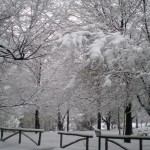 ...o in Inverno!!