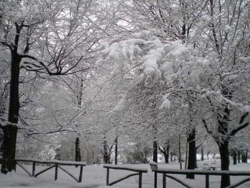 ...o in Inverno!!