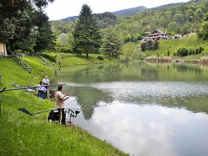Lago di Montepiano 4                 