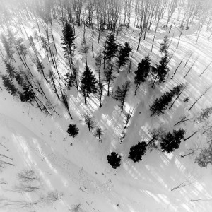 bf02f-10979534 850456815015852 365275523 n                 
